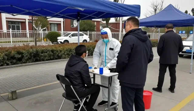 健康教育团队协作与资源维护的关键实践